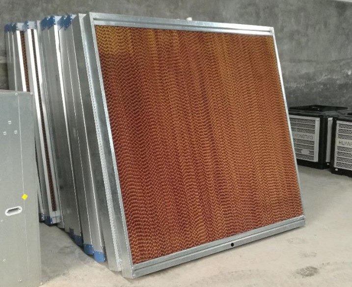 高溫季節如何給畜舍降溫呢？