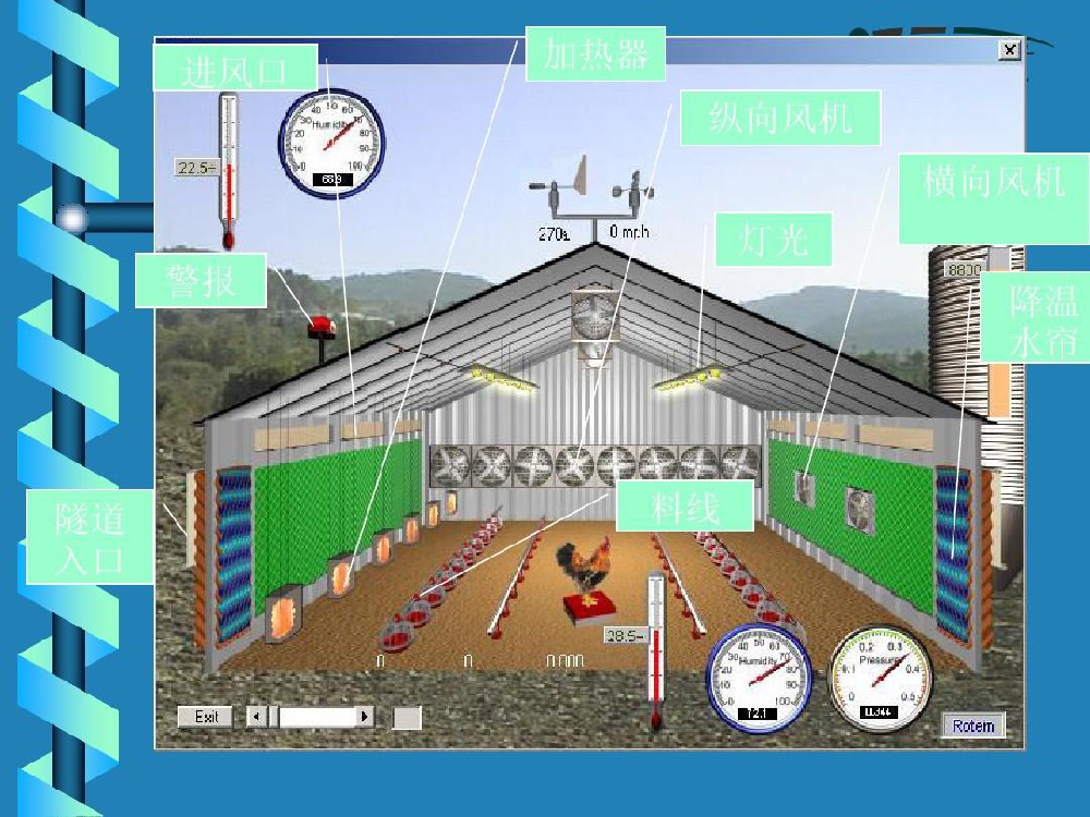 肉雞飼養重通風高效少病效益增