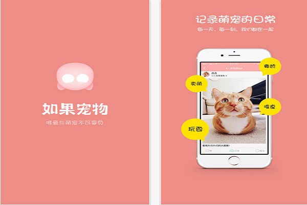 寵物APP開發